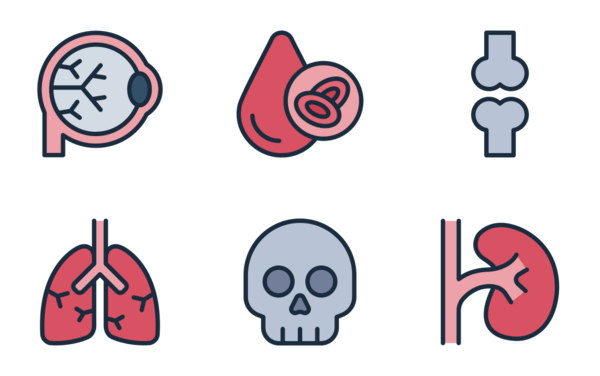 human organ human organ