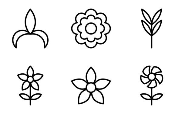 flower flower