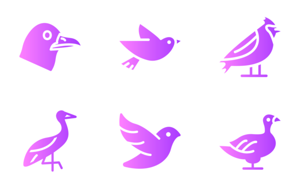 birds