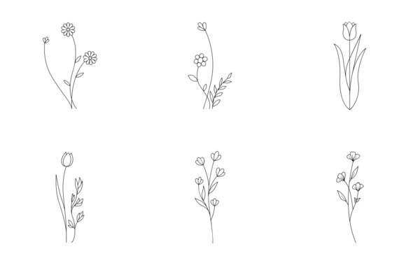 wildflower and flowers wildflower and flowers