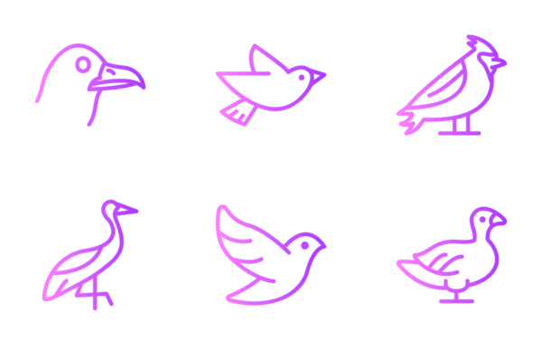 birds