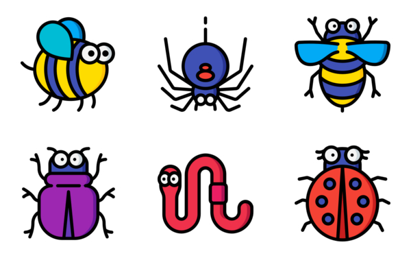 Bug and Insects Bug and Insects