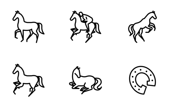 Horse Riding
