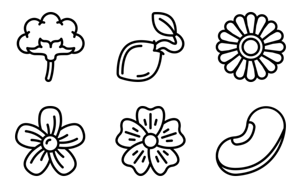 Plants Plants