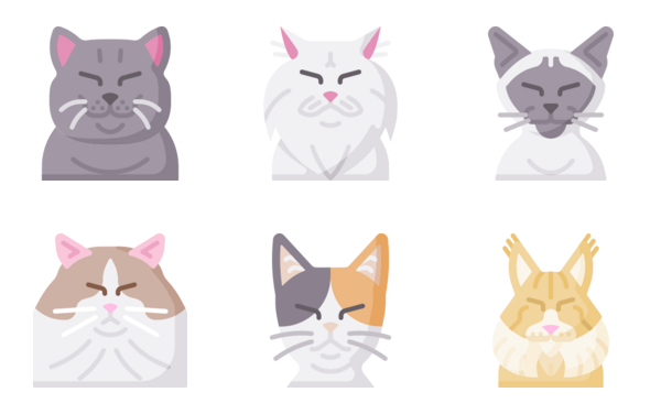 cats cats