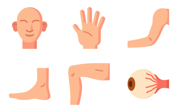 Human Body Human Body