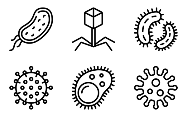 microorganisms