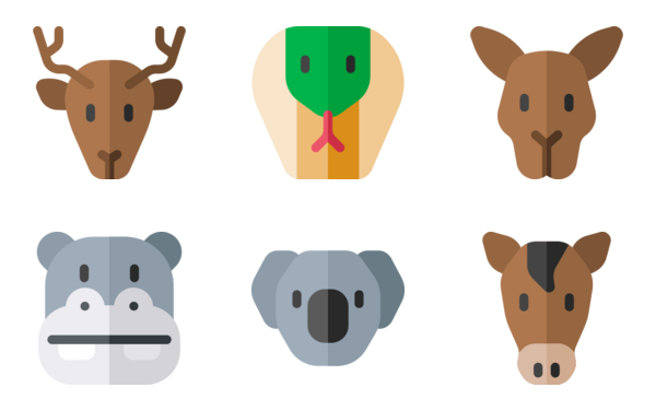 wildlife wildlife