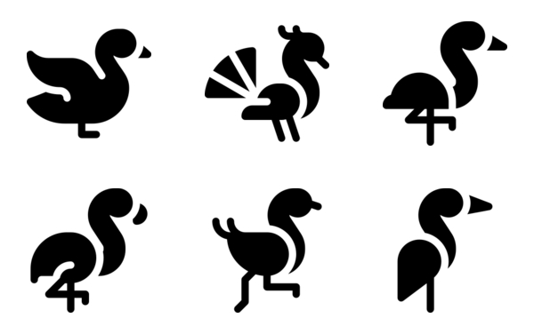 birds
