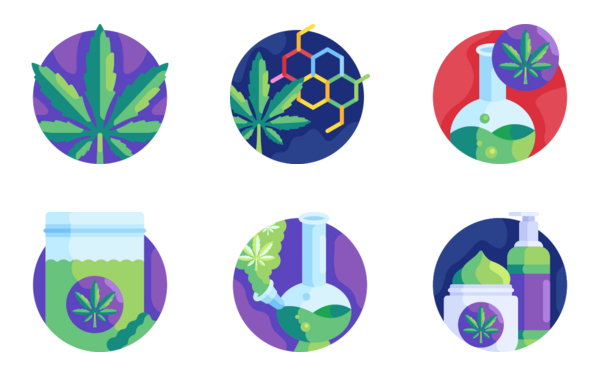cannabis cannabis