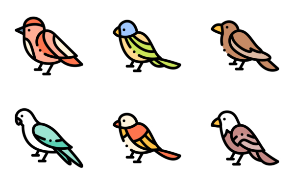 birds