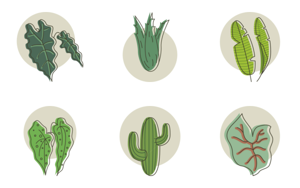 home plants