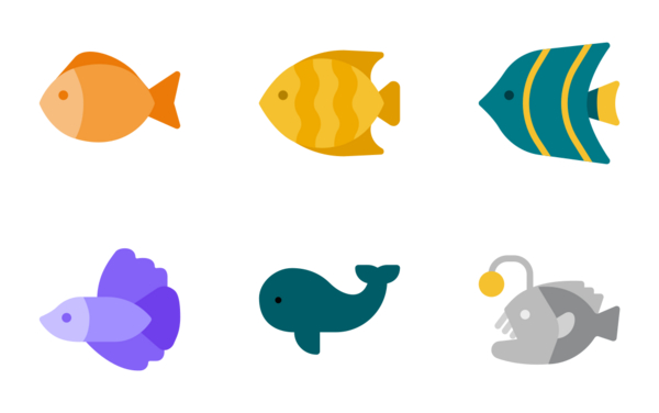 Fish Fish