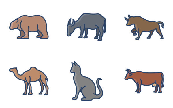 animal body animal body
