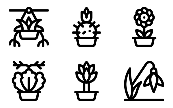 house plants house plants