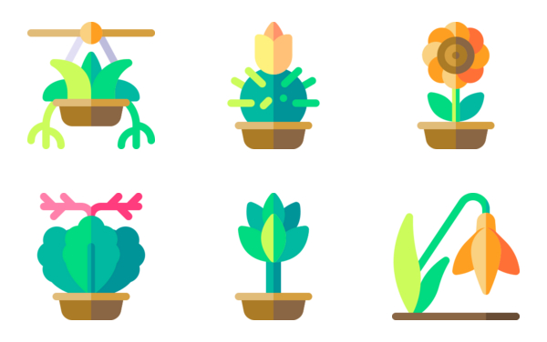 house plants