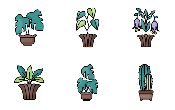 flower and plant flower and plant