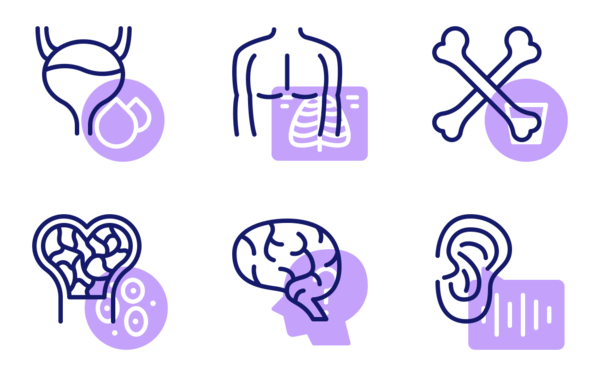 Human Body