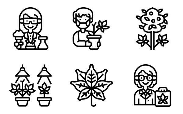 cannabis