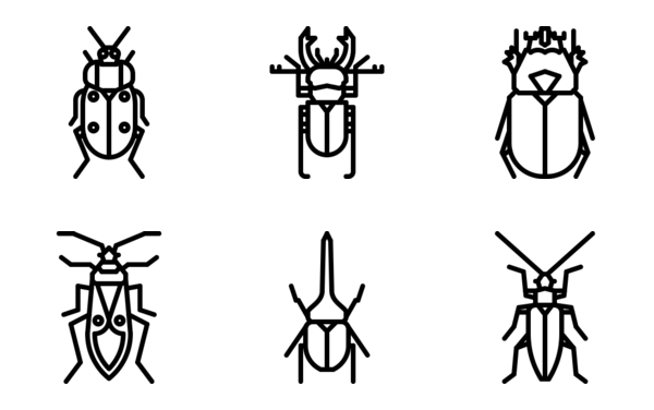 beetles