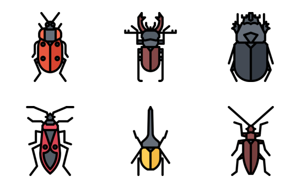 beetles