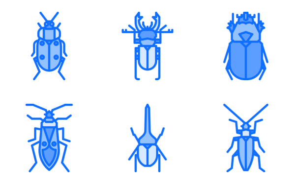 beetles