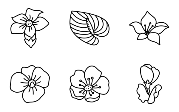 flower flower