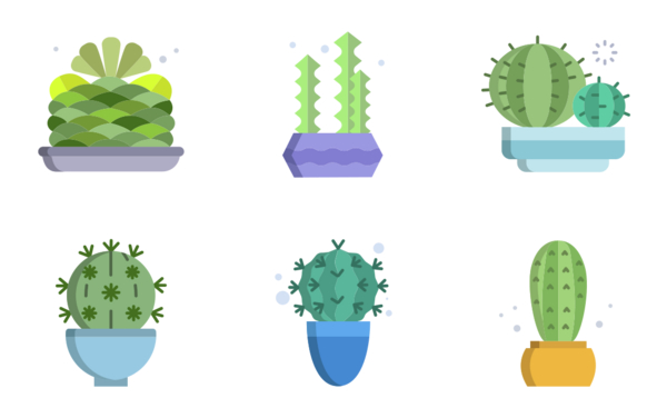 cactus