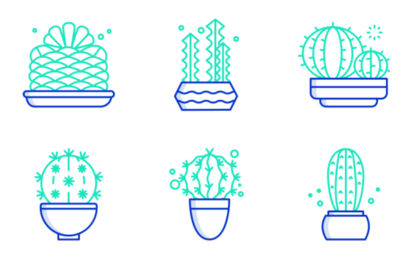 Cactus Cactus