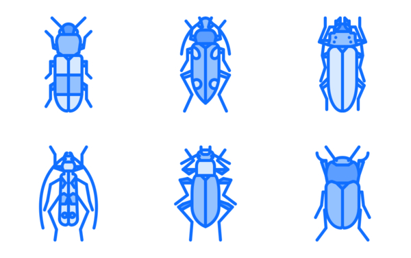 Beetles Beetles