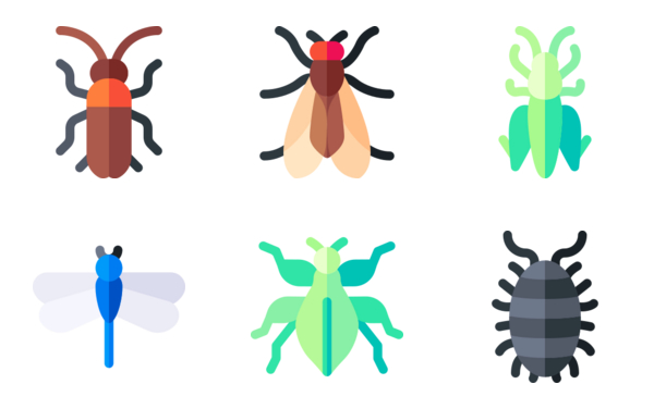 insects