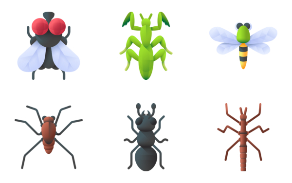 insects