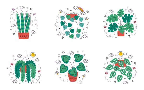 flowers and plants