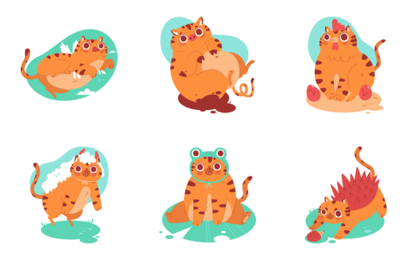 bernie the cat  pets animals