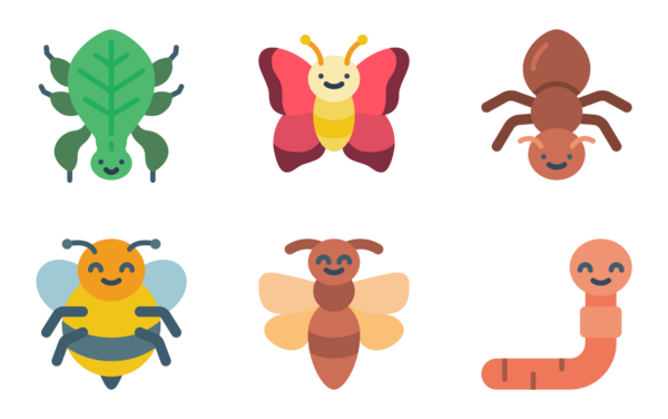 cute insects