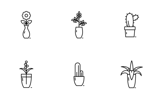 plants