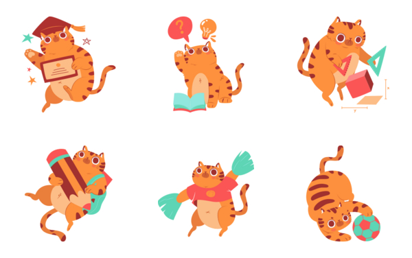 bernie the cat  education