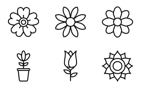 flowers flowers