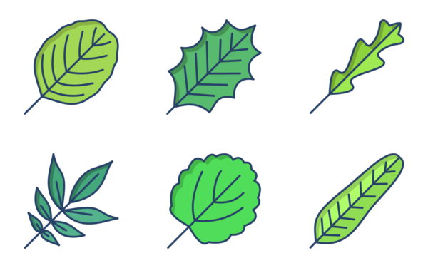 leaf