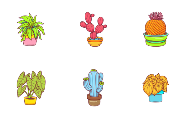 plant