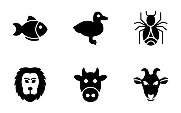 animal animal
