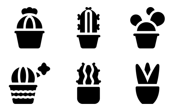 indoor plants