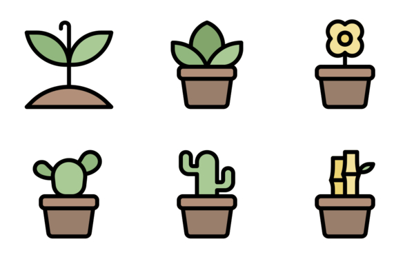 house plants