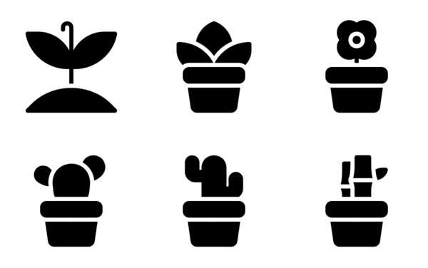 house plants