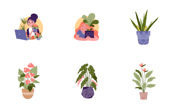 house plants and women