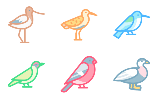 birds