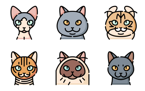 Cat Breeds Cat Breeds