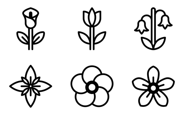flowers flowers