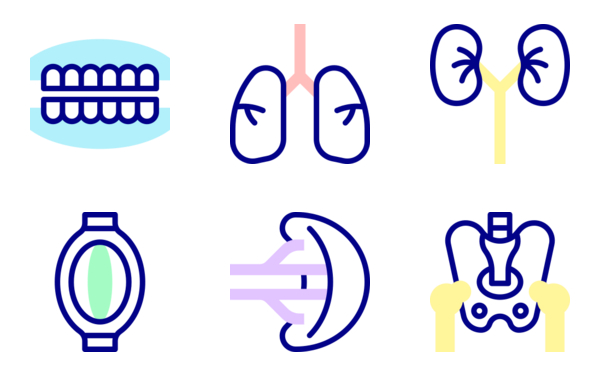 human body human body