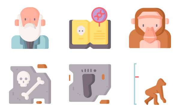 Human Evolution Human Evolution